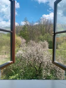Ruda na MoravěZámek Ruda nad Moravou的享有开花灌木景致的窗户