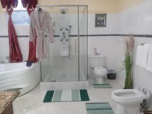 昂斯拉雷区Royal Escape的带淋浴、卫生间和盥洗盆的浴室