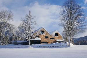 埃普芬多夫pure mountain BASE的雪中一座砖屋,两棵树