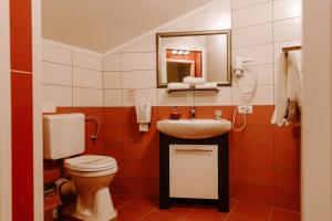 LipovaCasa Maria Magdalena的一间带卫生间、水槽和镜子的浴室