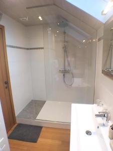 维尔雅尔姆B&B Pegasus II - Chambre de luxe avec sauna privatif的带淋浴和盥洗盆的浴室