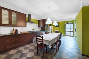 OstrowiceU Magdy的厨房配有桌子和一些绿色的墙壁