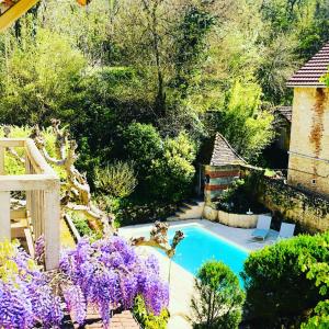 莱塞齐耶德泰阿克克罗马努酒店的一个带游泳池和紫色鲜花的花园