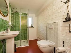 DargenHof Lewin的浴室配有卫生间、盥洗盆和淋浴。