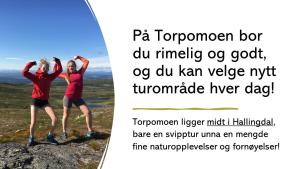 TorpoTorpomoen的一张两人站在山顶的照片