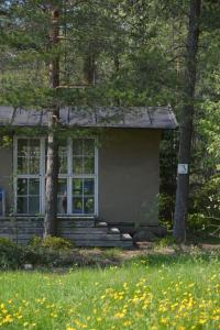 帕尔加斯Sattmark EcoCabin的一座小房子,拥有大窗户和树木