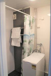 波里Valtakatu 2的带淋浴帘和卫生间的浴室