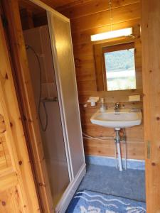 AustefjordenKalvatn Turistsenter的一间带水槽和淋浴的浴室