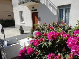 San Fermo della Battaglia蜂蜜住宿加早餐旅馆的一座建筑物前的粉红色花丛
