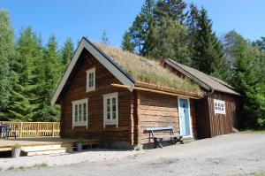 TorestorpLillstugan的一个带草屋顶的小小木屋