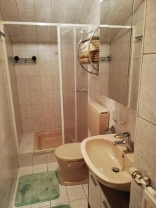 东蒂罗尔地区马特赖Haus Rainer的浴室配有卫生间、盥洗盆和淋浴。