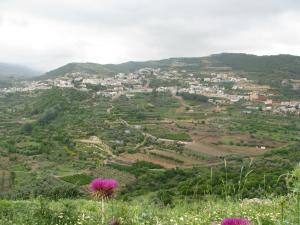 Ein KinyaTourism in the village的享有山丘上村庄的鲜花美景