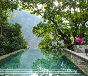 瑞诗凯诗Taj Rishikesh Resort & Spa Uttarakhand的树木繁茂的森林中的一个游泳池