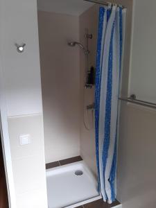 哈尔施塔特哈尔施塔特豪斯斯泰因布雷克公寓酒店的浴室内配有蓝色淋浴帘