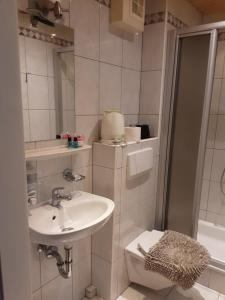 上特劳恩荷花公寓式酒店的一间带水槽和卫生间的小浴室