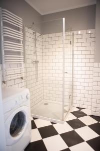 马尔堡Apartament Scandic的带淋浴的浴室内的洗衣机