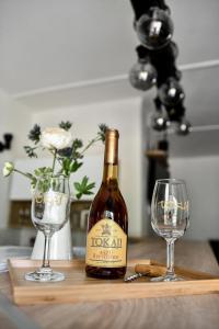 托考伊Marika Vendégháza的桌子上放有一瓶葡萄酒和两杯酒