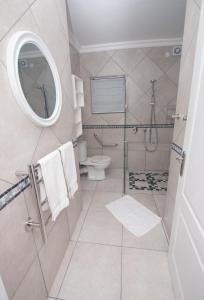 贝蒂湾Van Den Berg's Guesthouse的带淋浴、卫生间和镜子的浴室
