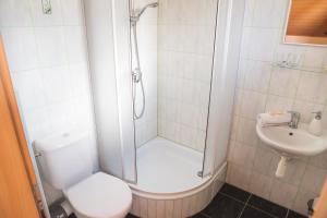 韦伯夫林伯维德沃尔旅馆的带淋浴、卫生间和盥洗盆的浴室