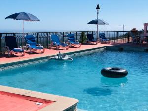 蒙希克山间隐居酒店的水中一个有海豚和轮胎的游泳池