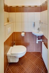布拉格Kaprova 5 - Old Town Apartments的一间带卫生间和水槽的浴室