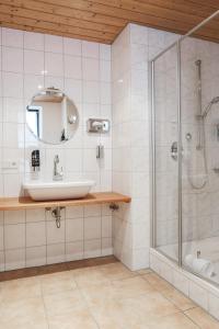 普夫龙滕法穆勒宾馆的一间带水槽和淋浴的浴室