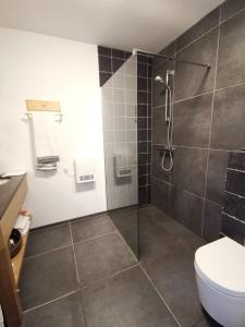 ElingenElingenhof的带淋浴和卫生间的浴室