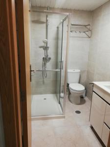 阿布兰特什HOUSE 4U - Cozy Apartment with Mezzanine的带淋浴和卫生间的浴室