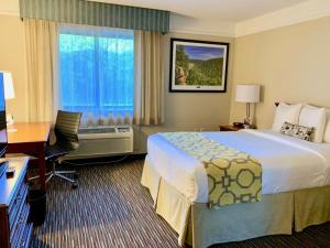 特克萨卡纳特克萨卡纳拉昆塔酒店及套房的配有一张床、一张书桌和一扇窗户的酒店客房