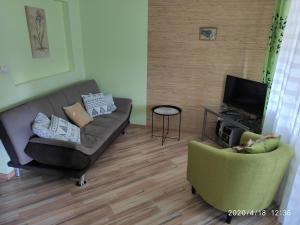 纳尔瓦约埃苏波斯卡公寓的带沙发、椅子和电视的客厅