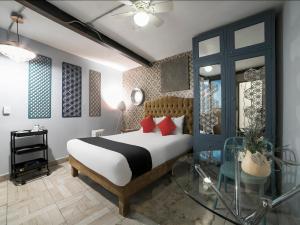墨西哥城Coyotito Beds Coyoacan, suites a tu alcance!!!的相册照片