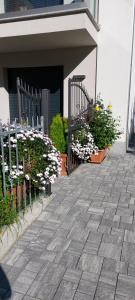 蒂拉诺B & B Il sorriso的种满鲜花的庭院和围栏