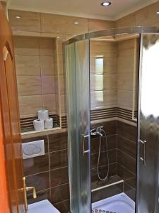 赫尔采格诺维博科斯卡诺克加尔尼酒店的浴室里设有玻璃门淋浴