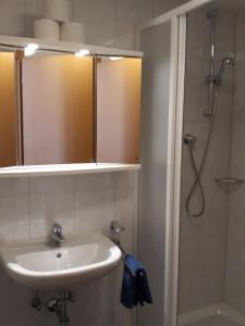 莱赫阿尔贝格Der Lecher的浴室配有盥洗盆和带镜子的淋浴