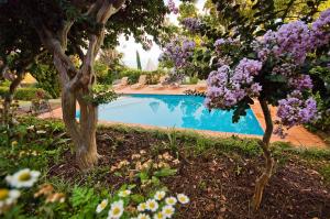 卡列塔葡萄园农场酒店的被紫色花卉和树木环绕的游泳池