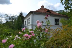 瓦古夫Villarada的前面有粉红色花的白色房子