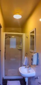 皮克顿Tombstone Motel, Lodge & Backpackers的浴室配有白色水槽和淋浴。