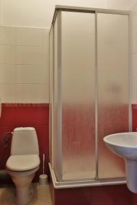 托伦巴耶波莫尔斯基剧院旅馆的一间带卫生间和水槽的浴室