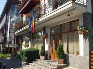 锡纳亚维拉安娜 - 玛丽亚酒店的前面有旗帜和盆栽的建筑物
