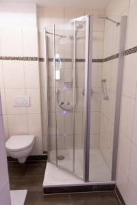 阿伦策杜特斯彻斯豪斯弗莱尔酒店的设有带卫生间的浴室内的淋浴间