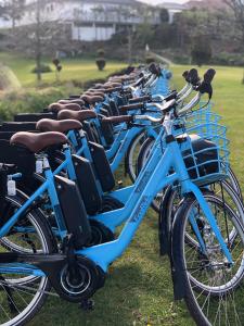 布莱尼Bryne Hotell的停在草地上的一排蓝色自行车