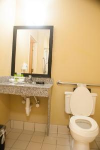 杰克逊维尔杰克逊维尔南 - I-295州际公路智选假日套房酒店的一间带卫生间、水槽和镜子的浴室