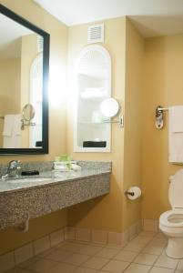 杰克逊维尔杰克逊维尔南 - I-295州际公路智选假日套房酒店的一间带水槽和卫生间的浴室