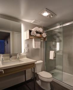 弗拉格斯塔夫格林豪泰弗拉格斯塔夫酒店的浴室配有卫生间、盥洗盆和淋浴。