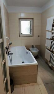 捷克克鲁姆洛夫亚当公寓式酒店的一间带大浴缸和卫生间的浴室