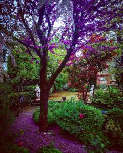 PassiranoCascina CORTEPRIMAVERA, B&B del Baliot的花园中种有紫色花的树
