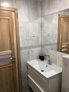 PaežeriaiVilla Ievyne 2的一间带水槽和镜子的浴室