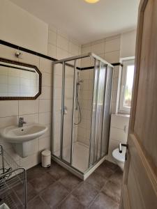 NeefWeingut Amlinger&Sohn的带淋浴、盥洗盆和卫生间的浴室