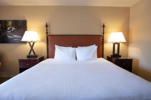 格兰茨帕斯河畔旅馆的酒店客房设有一张大床和两盏灯