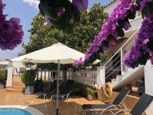 艾姆布里亚布拉瓦Casa Pani的一个带遮阳伞和椅子的庭院和紫色的鲜花